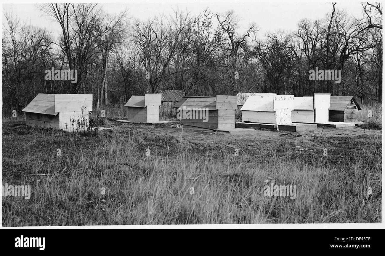 Questa fotografia mostra un cimitero di famiglia a Ponemah Point, catturando un sito di sepoltura storico di notevole importanza culturale e familiare. Foto Stock