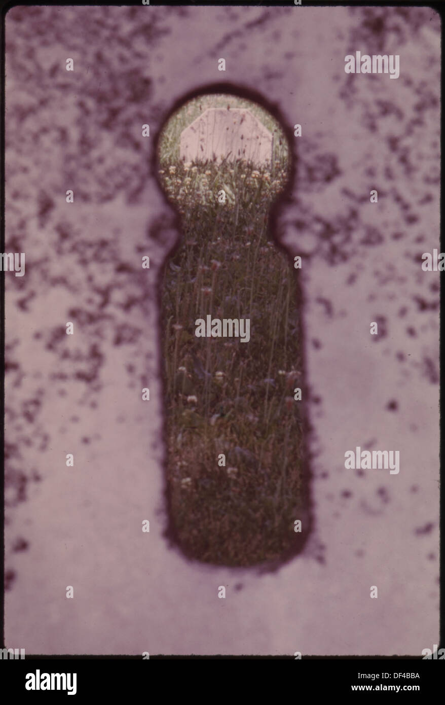 Una fotografia del cimitero di Glendale a Elmore, che mostra un cimitero storico con tombe e marcatori notevoli. L'immagine rappresenta un sito chiave per la storia e il patrimonio locale, con tombe di individui significativi. Foto Stock