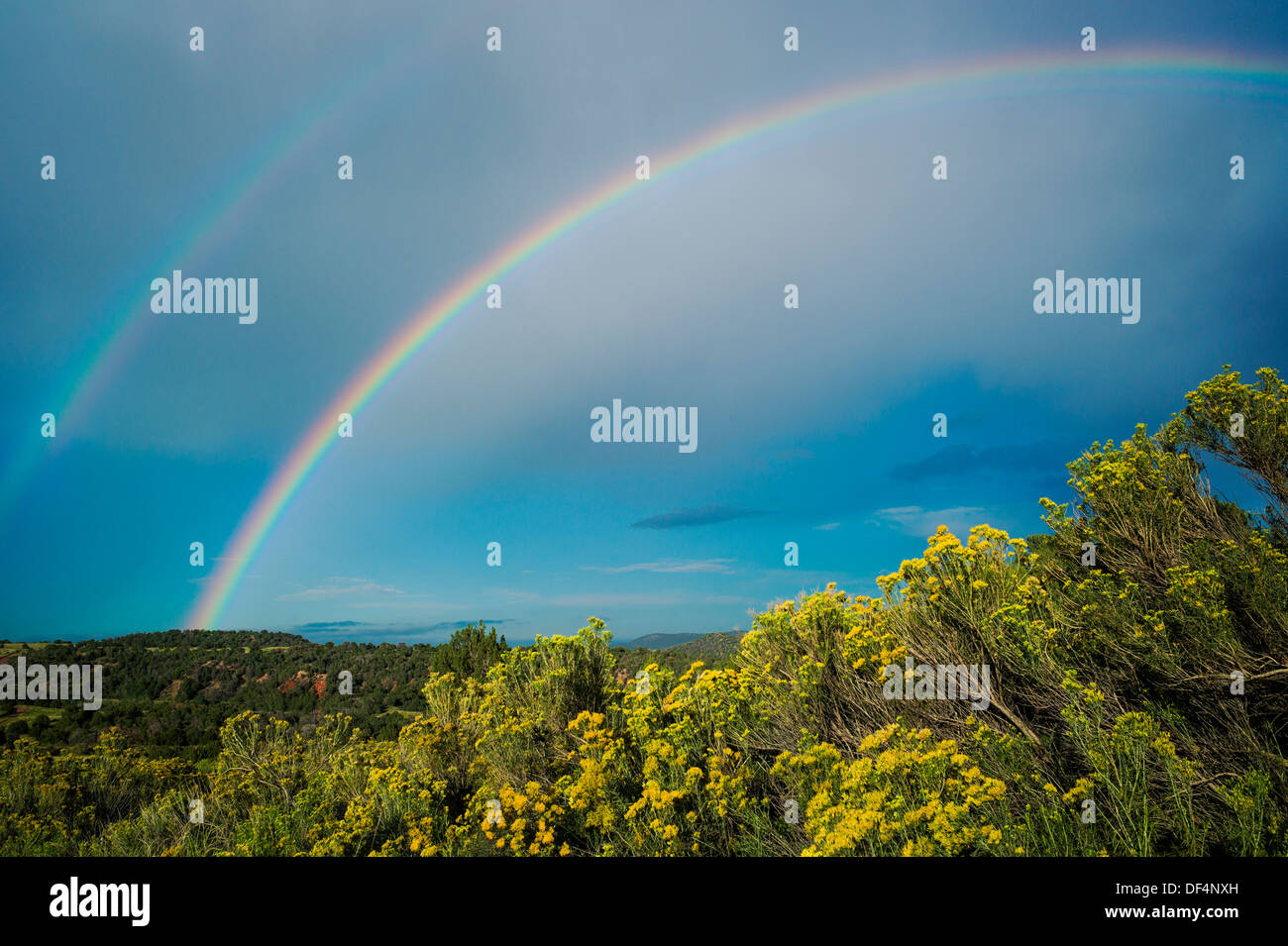 Rainbow su campi a sud di Colorado Springs, Colorado, STATI UNITI D'AMERICA Foto Stock