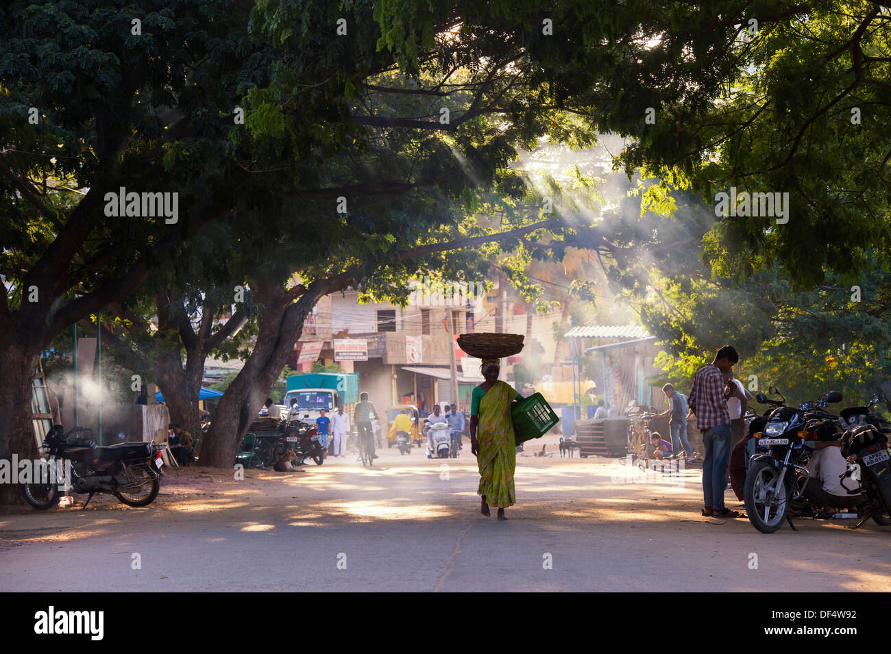 Donna indiana che trasportano un cestello sulla sua testa attraverso un tunnel di alberi. Puttaparthi, Andhra Pradesh, India Foto Stock