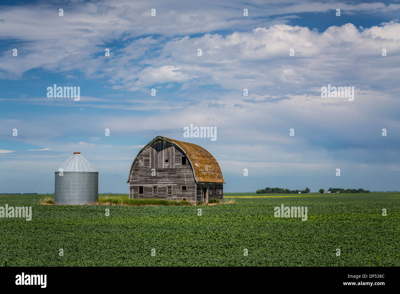 Un vecchio fienile e una fattoria per granella su una prateria di campo nei pressi di Langdon, il Dakota del Nord, Stati Uniti d'America. Foto Stock
