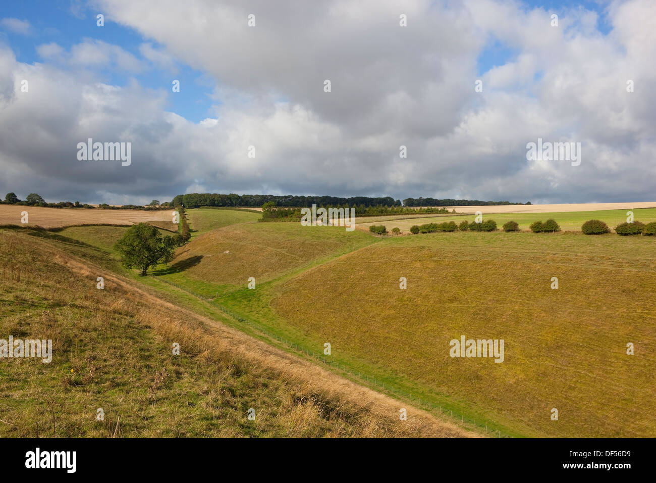 In pendenza ripida prati di Horsedale nel Yorkshire wolds sotto una torbida blu cielo estate. Foto Stock