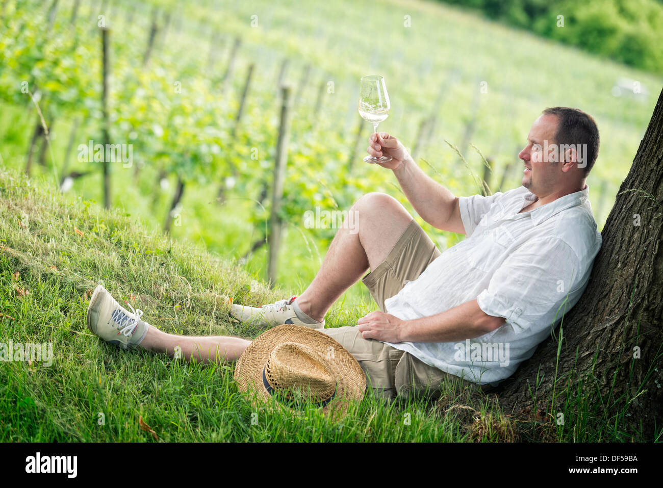 Enologo per degustare un bicchiere di vino bianco in vigna Foto Stock