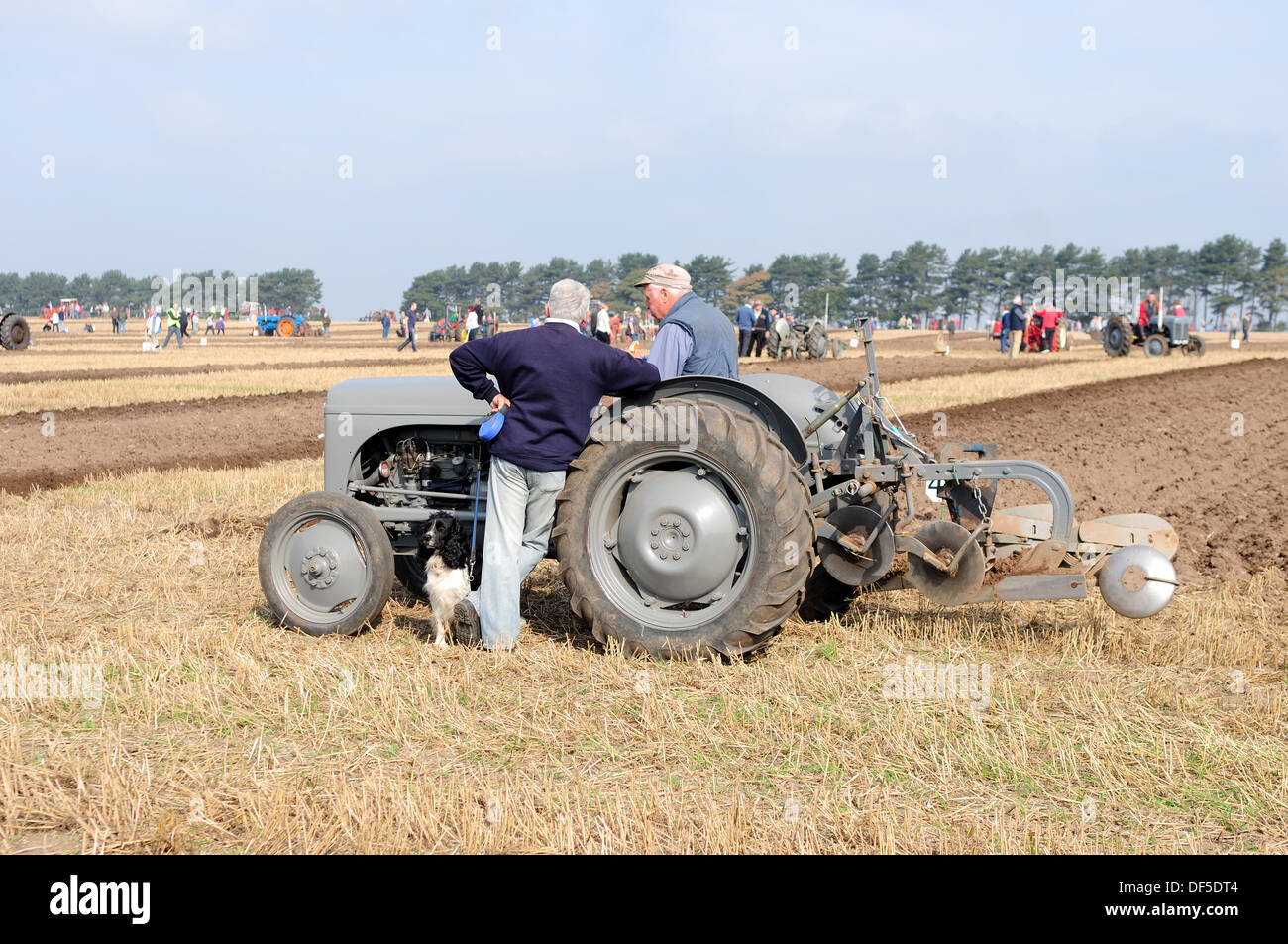 Ravenshead, Notts, Regno Unito.28 Settembre 2013.L'annuo agricolo di una mostra per un giorno si è aperto oggi a Ravenshead, dotate di match di aratura, cavalli, bovini, fiori e verdura mostra.Il tutto sotto bellissimi cieli blu e il caldo clima autunnale. Credito: Ian Francesco/Alamy Live News Foto Stock
