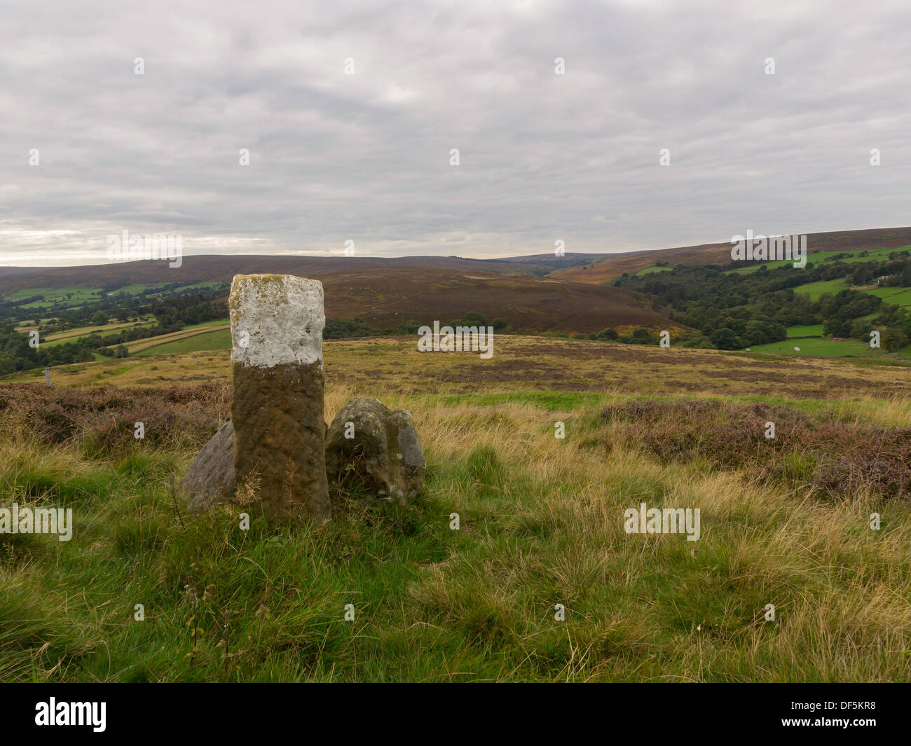 Marcatore di pietra post sulla Danby Mori station wagon di Castleton in North Yorkshire Moors National Park Foto Stock