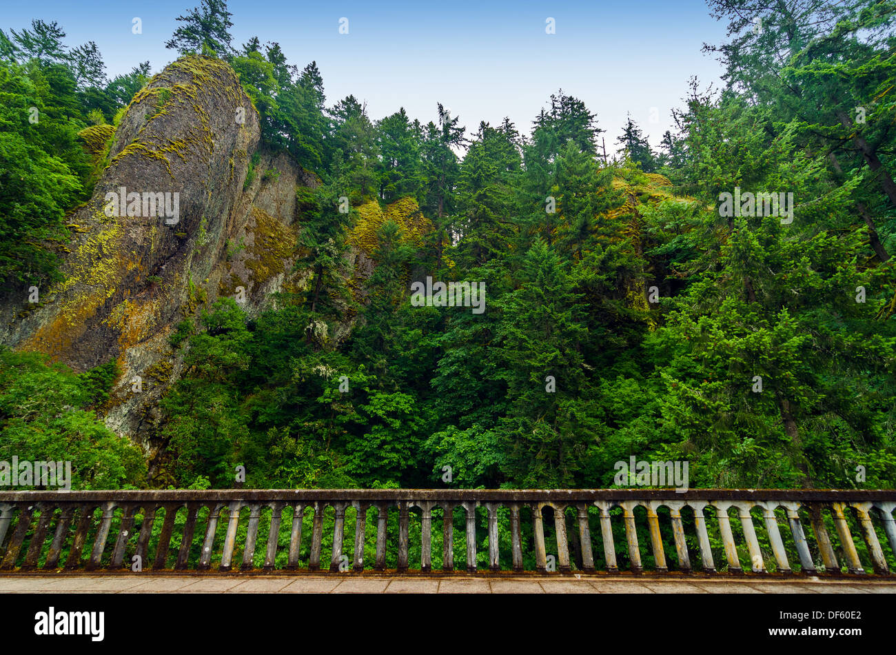 Scogliere e lussureggiante foresta verde che sovrasta la ringhiera del centro storico di Autostrada 30 in Columbia River Gorge in Oregon Foto Stock