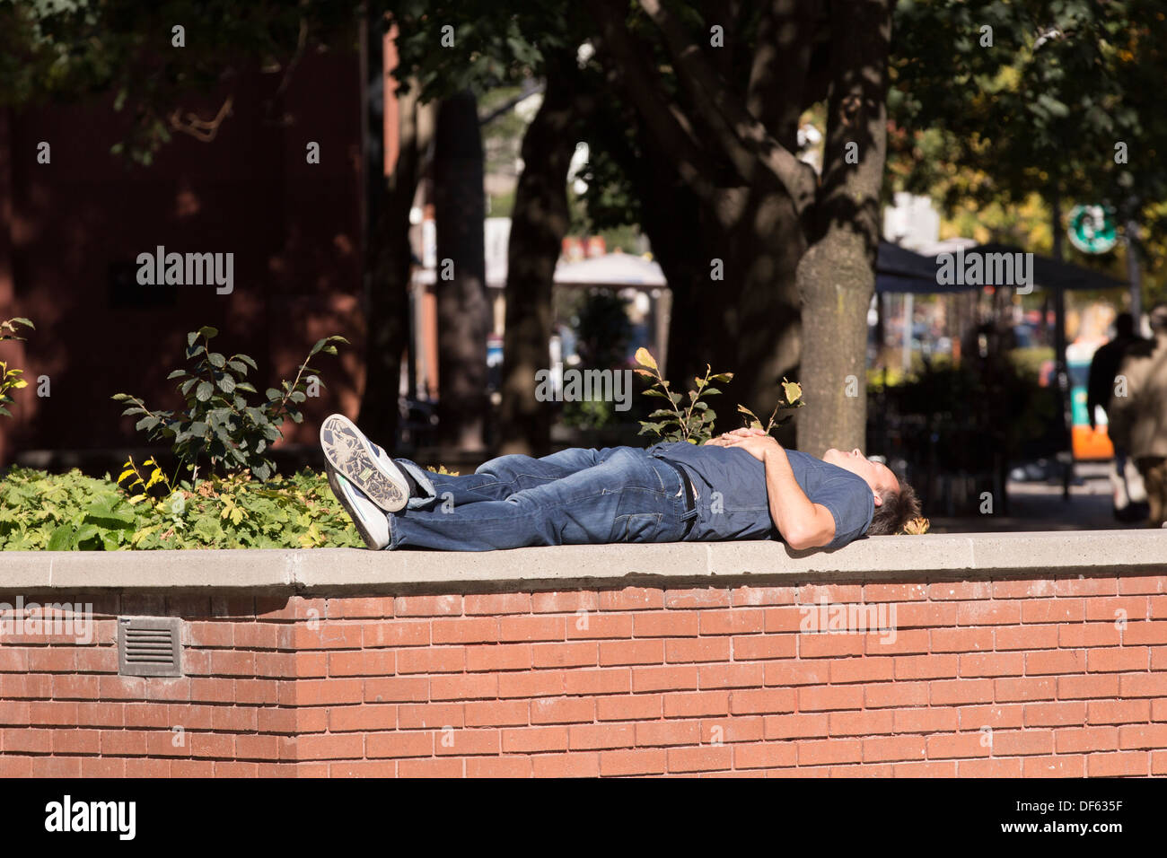 Uomo dorme sulla parete al sole nel parco Berczy in Toronto Foto Stock