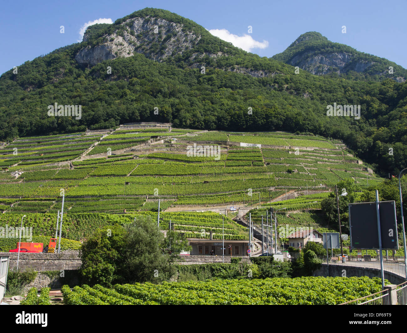 Vigneti nella periferia di Aigle nel cantone Vaud Svizzera, colline salendo dalla pianura lungo il fiume Rodano Foto Stock