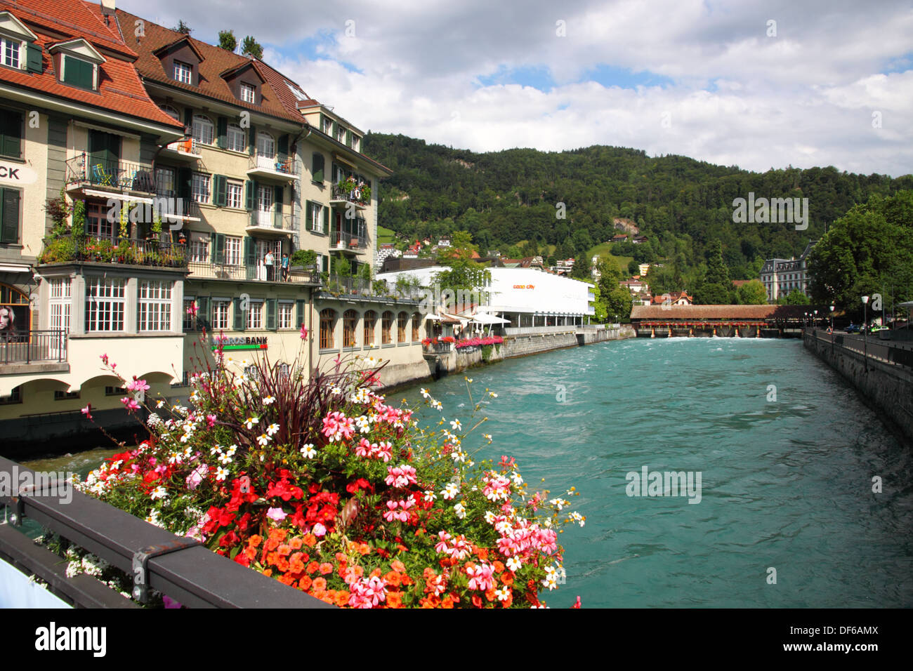 Una piantatrice di fiori colorati contro un ampio fiume ed edifici. Foto Stock