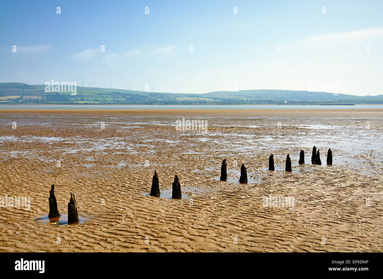 Parallelamente weathered posti di legno in sabbia a Morecambe Bay vicino a Millom Foto Stock