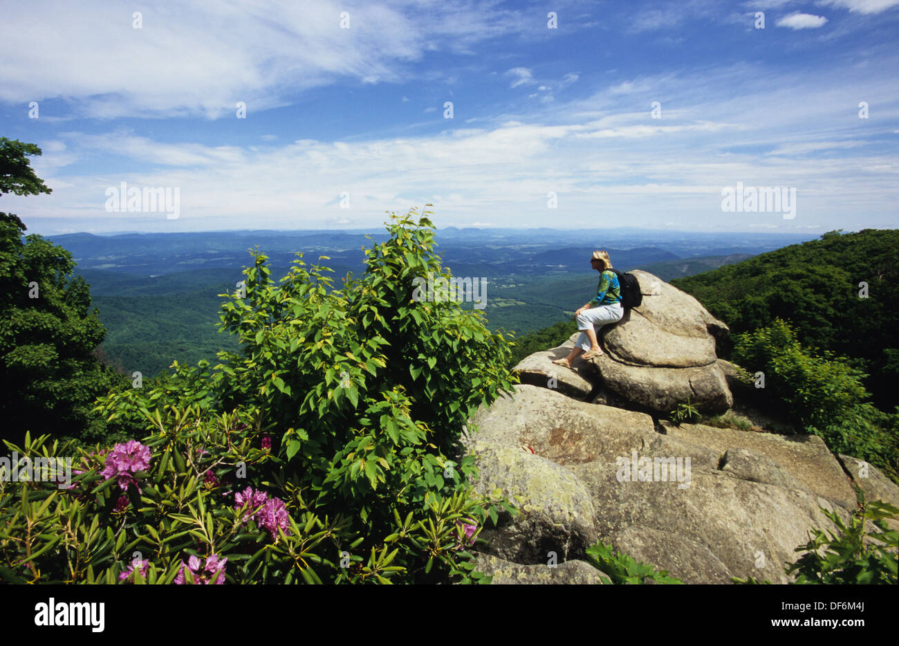 La Arnold panoramica (3.000 ft) è uno dei punti più alti lungo la Blue Ridge Parkway, Virginia. Foto Stock