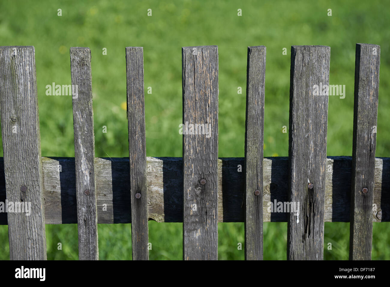Dettaglio di una vecchia palizzata in legno Foto Stock