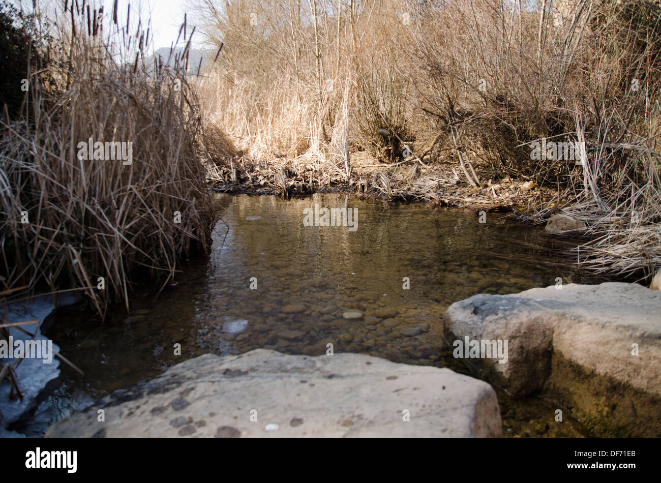 Inverno, pietra, fiume, raffreddare, stream, creek, Beck, ruscello, runnel, runlet, paesaggio Foto Stock