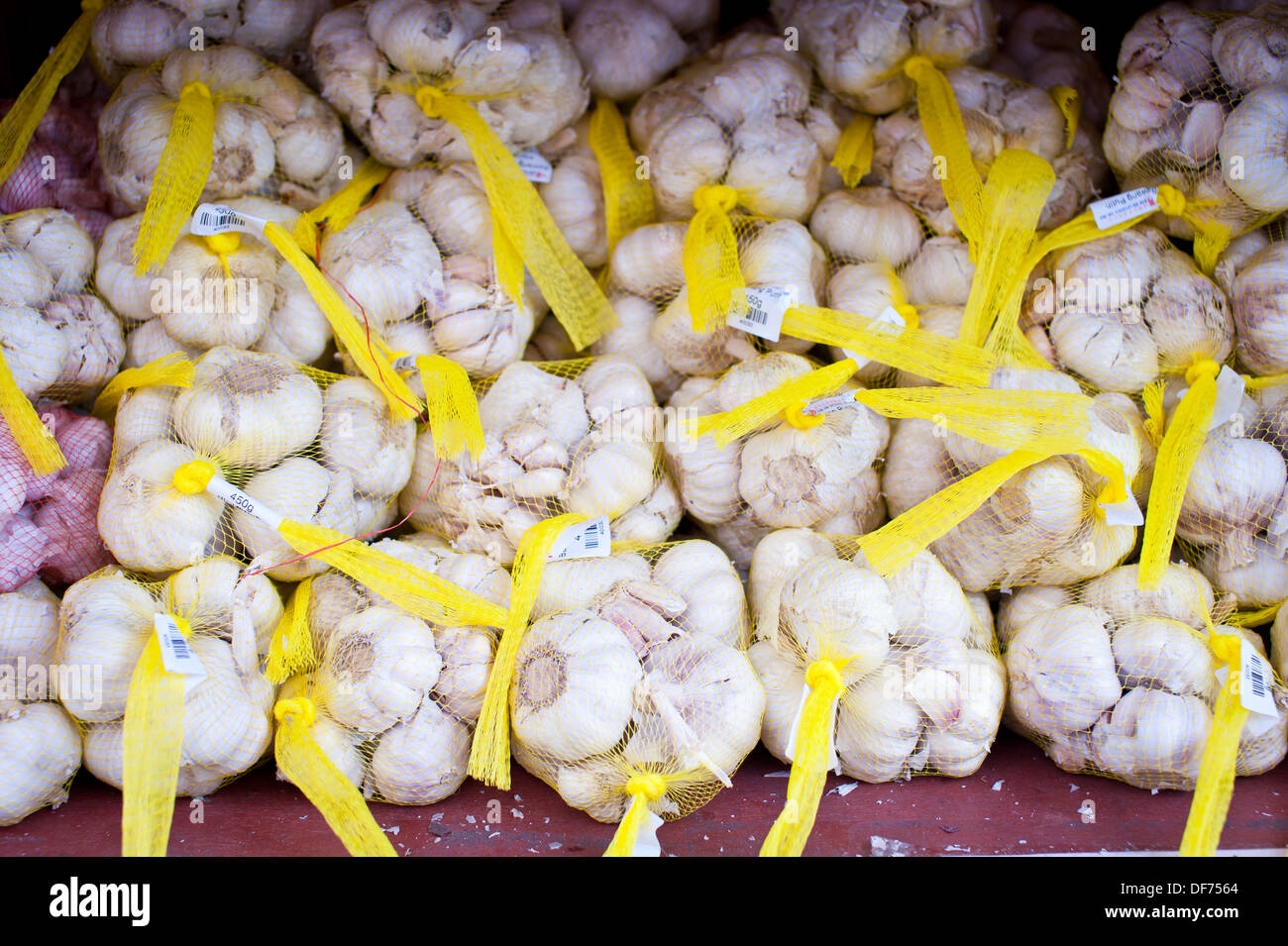 Mazzetti di aglio con nastro giallo legami. Foto Stock