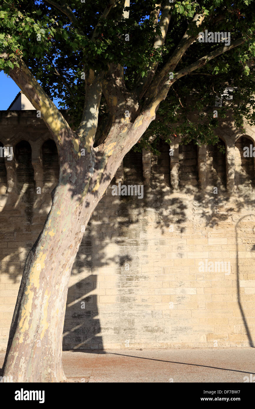 La fortificazione attorno alla città di Avignone. Foto Stock