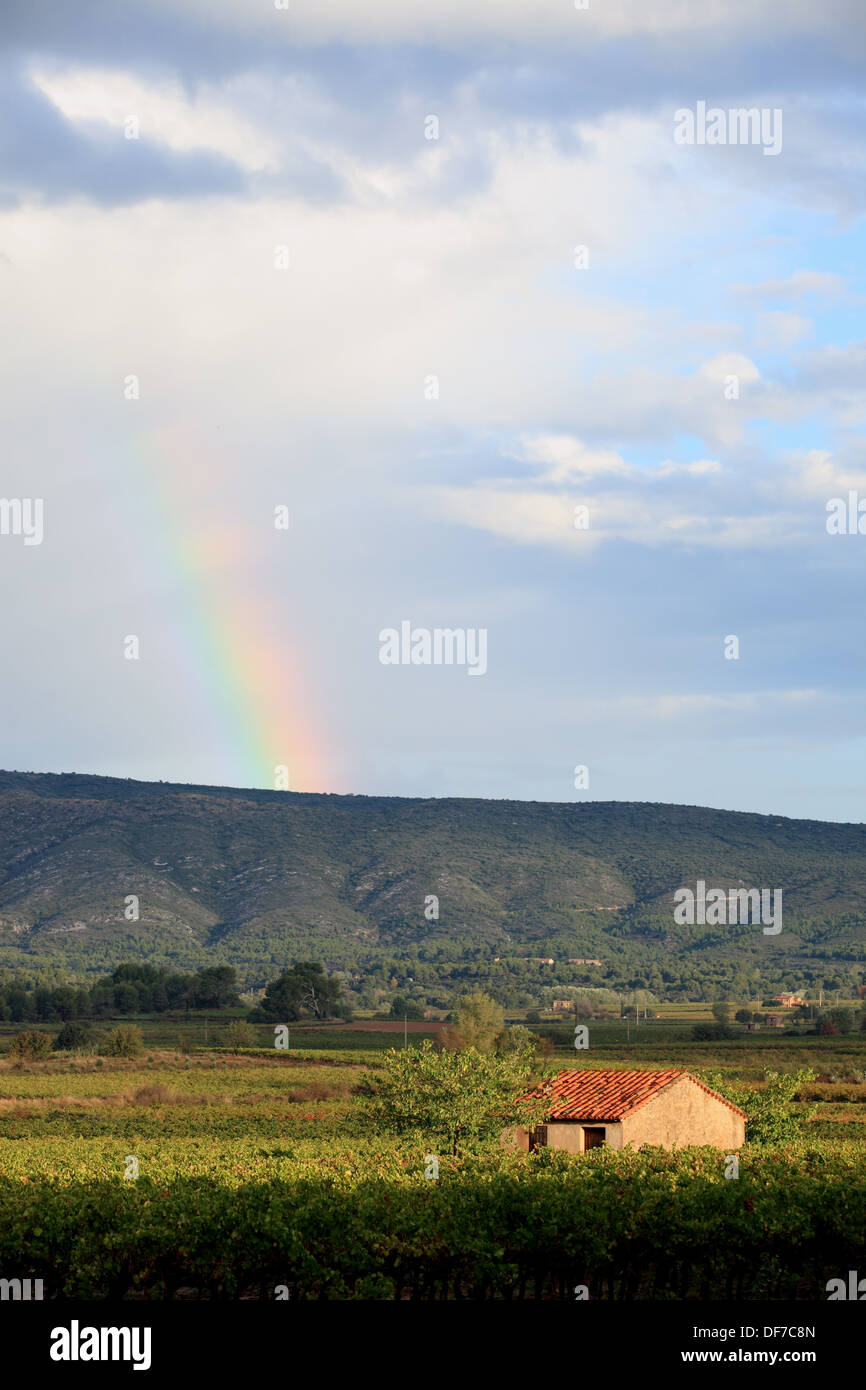 La montagna Sainte Victoire nelle Bouches du Rhone. Francia Foto Stock