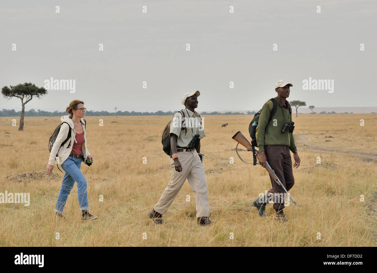 Turistico con guardie armate e guida per un safari a piedi, Massai Mara, Serengeti, Rift Valley provincia, Kenya Foto Stock