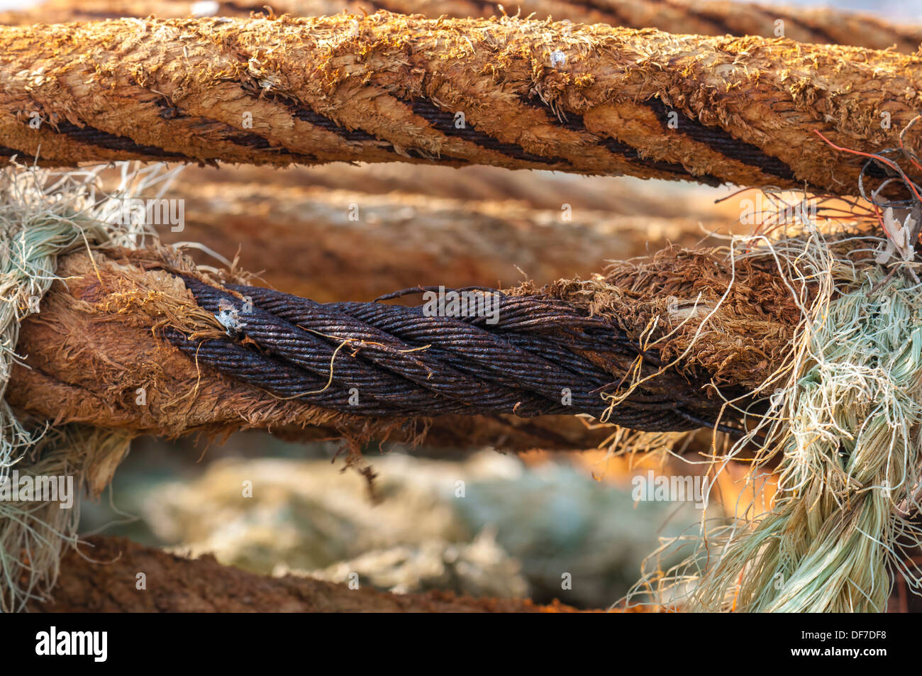 Vecchia corda, Hvide Sande, nello Jutland, Danimarca Foto Stock