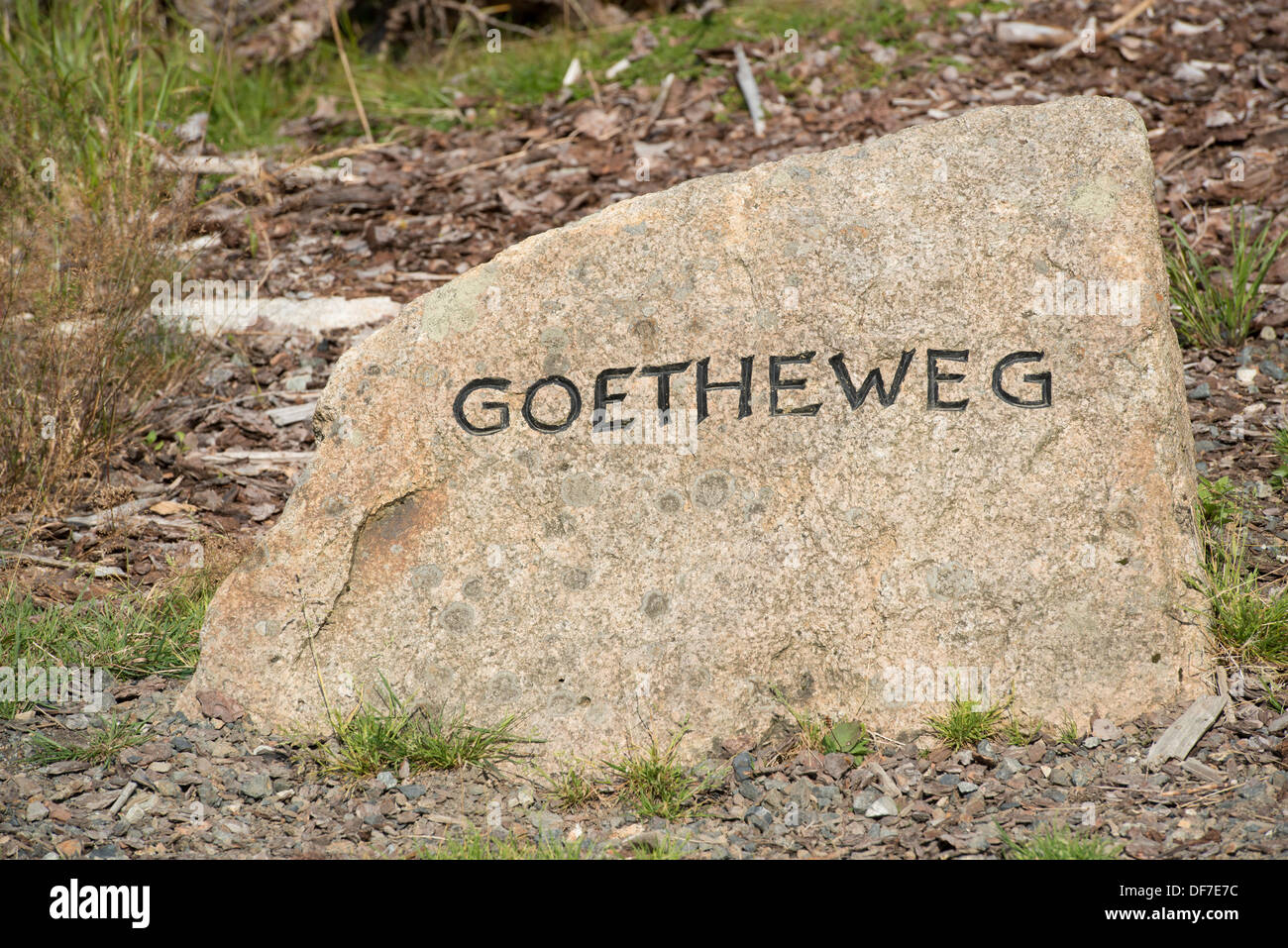 "Goetheweg' segnavia sul modo di Brocken Mountain, Wernigerode, Sassonia-Anhalt, Germania Foto Stock