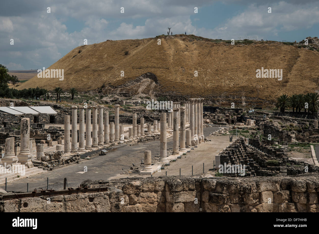 Il Cardo , Bet Shean Israele Foto Stock