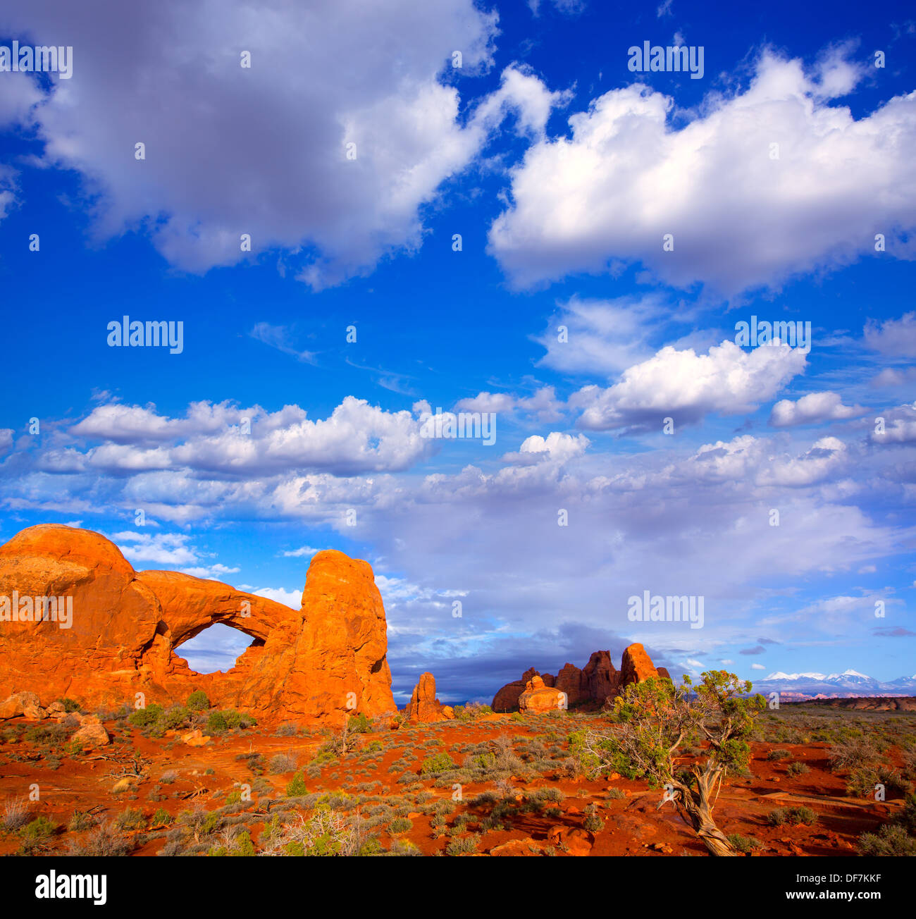 Parco Nazionale di Arches Nord sezione della finestra in Moab Utah STATI UNITI D'AMERICA Foto Stock