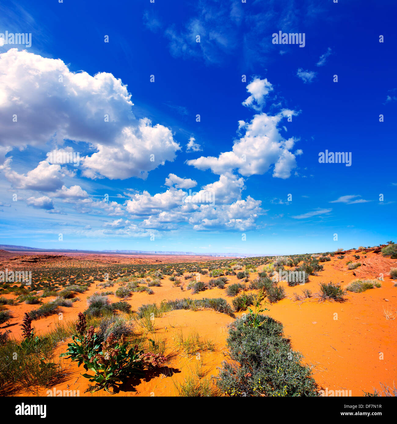 Arizona deserto vicino fiume Colorado USA terreno arancione e blu cielo Foto Stock