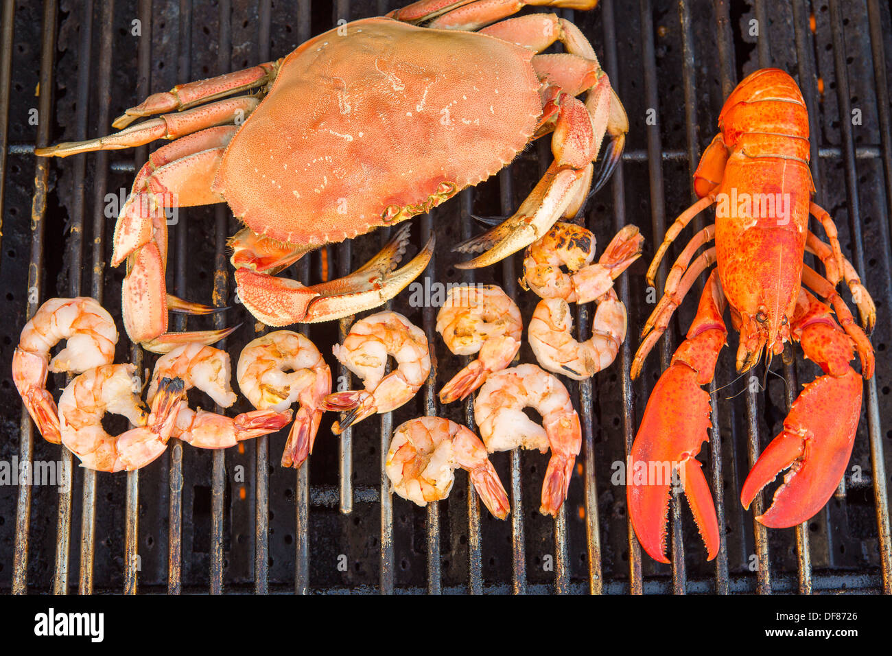 Cottura alla brace, Red Lobster, dungenees granchi e gamberi jumbo Foto Stock