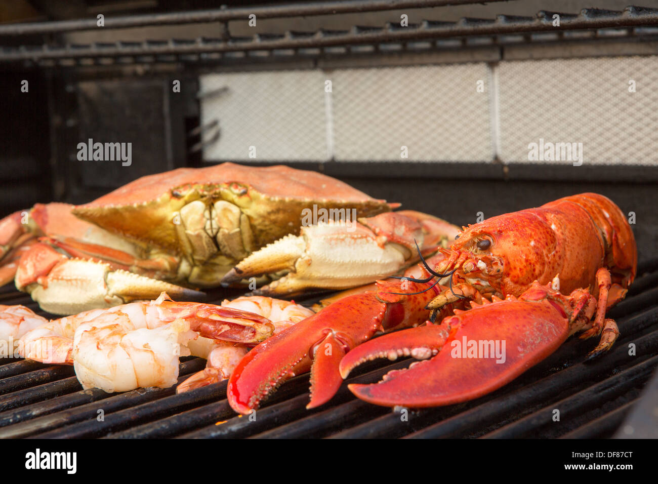 Cottura alla brace, Red Lobster, dungenees granchi e gamberi jumbo Foto Stock