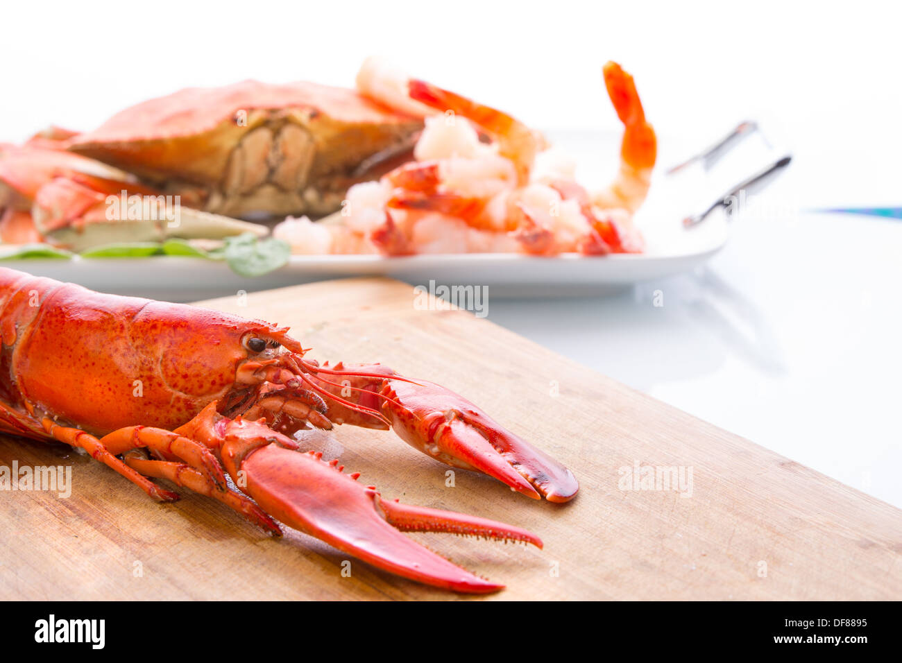 La preparazione di dungeness crab, red lobster e gamberetti in cucina sul bordo di taglio Foto Stock