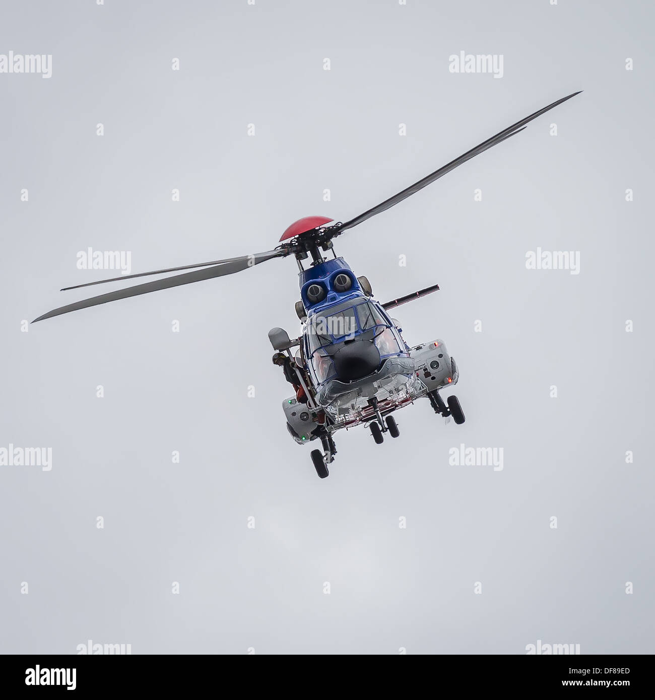 Ricerca e Salvataggio in elicottero - TF-LIF-Super Puma, Icelandic Coast Guard, Reykjavik, Islanda Foto Stock