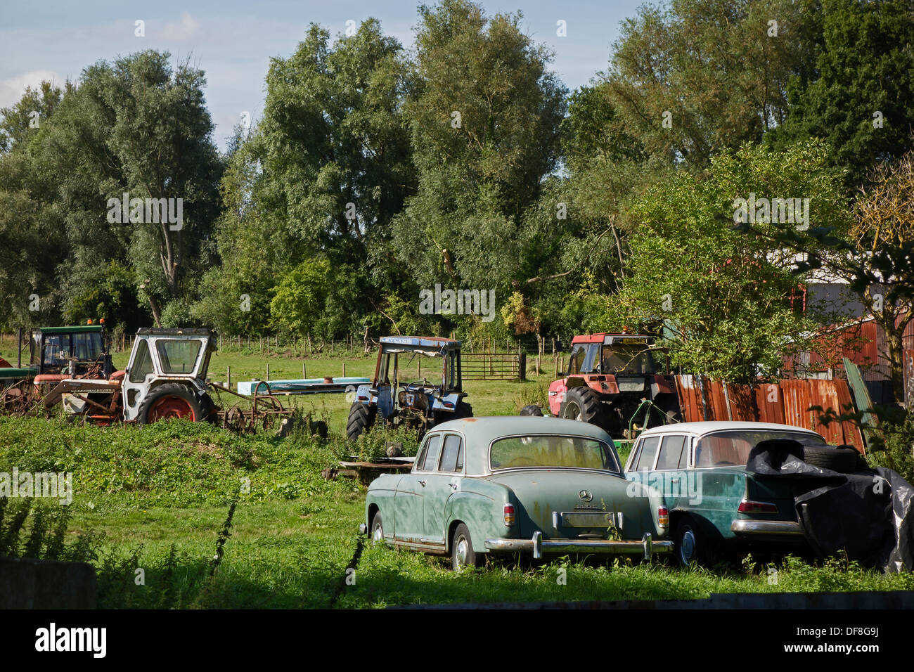 Vecchie automobili e trattori nel campo Foto Stock