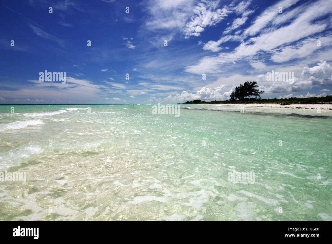 Spiaggia deserta in Cayo Paredon Grande - Jardines del Rey arcipelago, Cuba Foto Stock