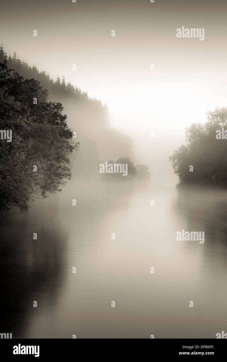 Una nebbiosa mattina prevede la separazione tra i vari gruppi di alberi lungo le rive del fiume Eamont in Pooley Bridge. Foto Stock