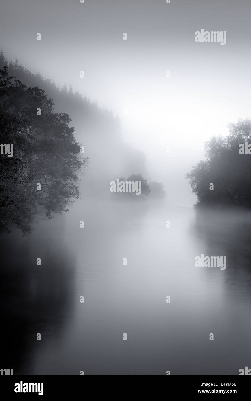 Una nebbiosa mattina prevede la separazione tra i vari gruppi di alberi lungo le rive del fiume Eamont in Pooley Bridge. Foto Stock