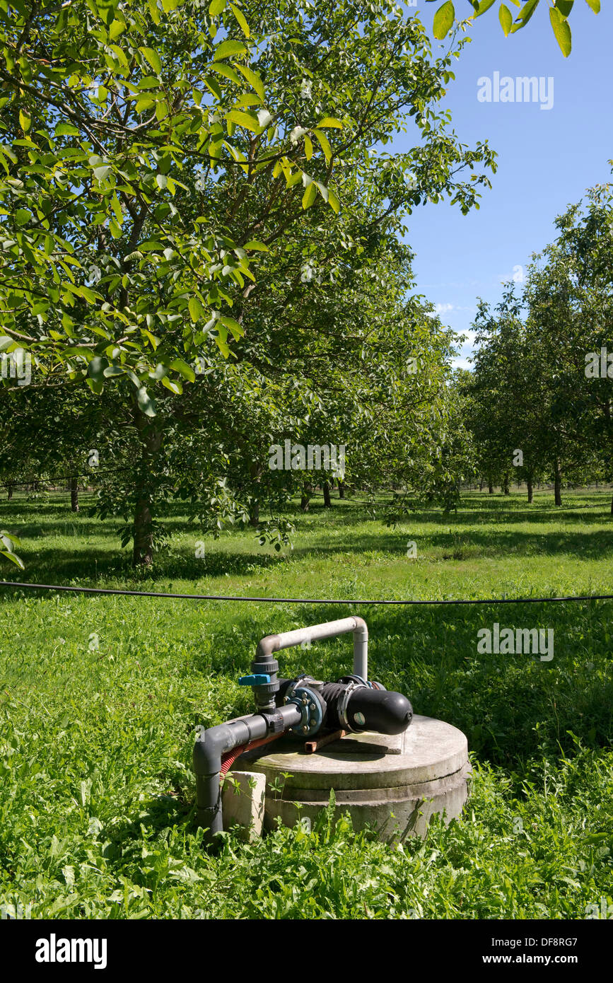 Irrigazione e fertirrigazione pompa per alberi di noce in un frutteto di noce a Sainte-Foy-la-Grande, Francia Foto Stock