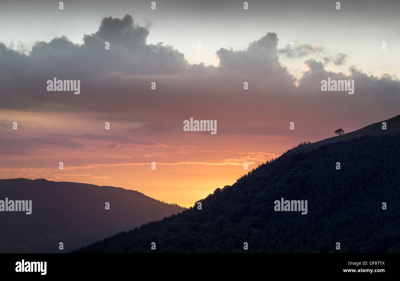 Un lone tree spicca in silhouette come il sole tramonta dietro Latrigg nel Lake District inglese, UK. Foto Stock