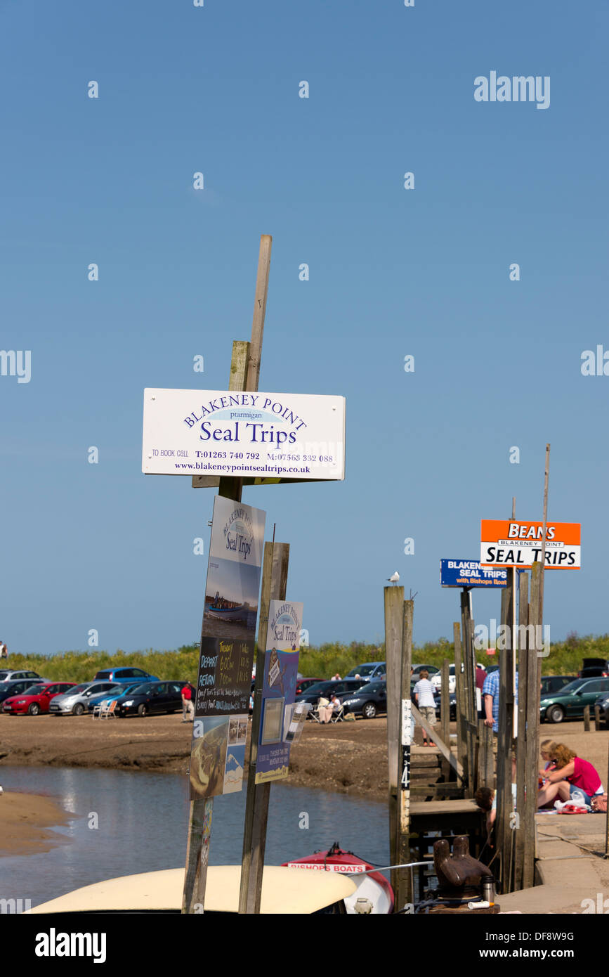 Barche pubblicità viaggi per vedere le guarnizioni dalla banchina Blakeney, Norfolk, Inghilterra. Foto Stock