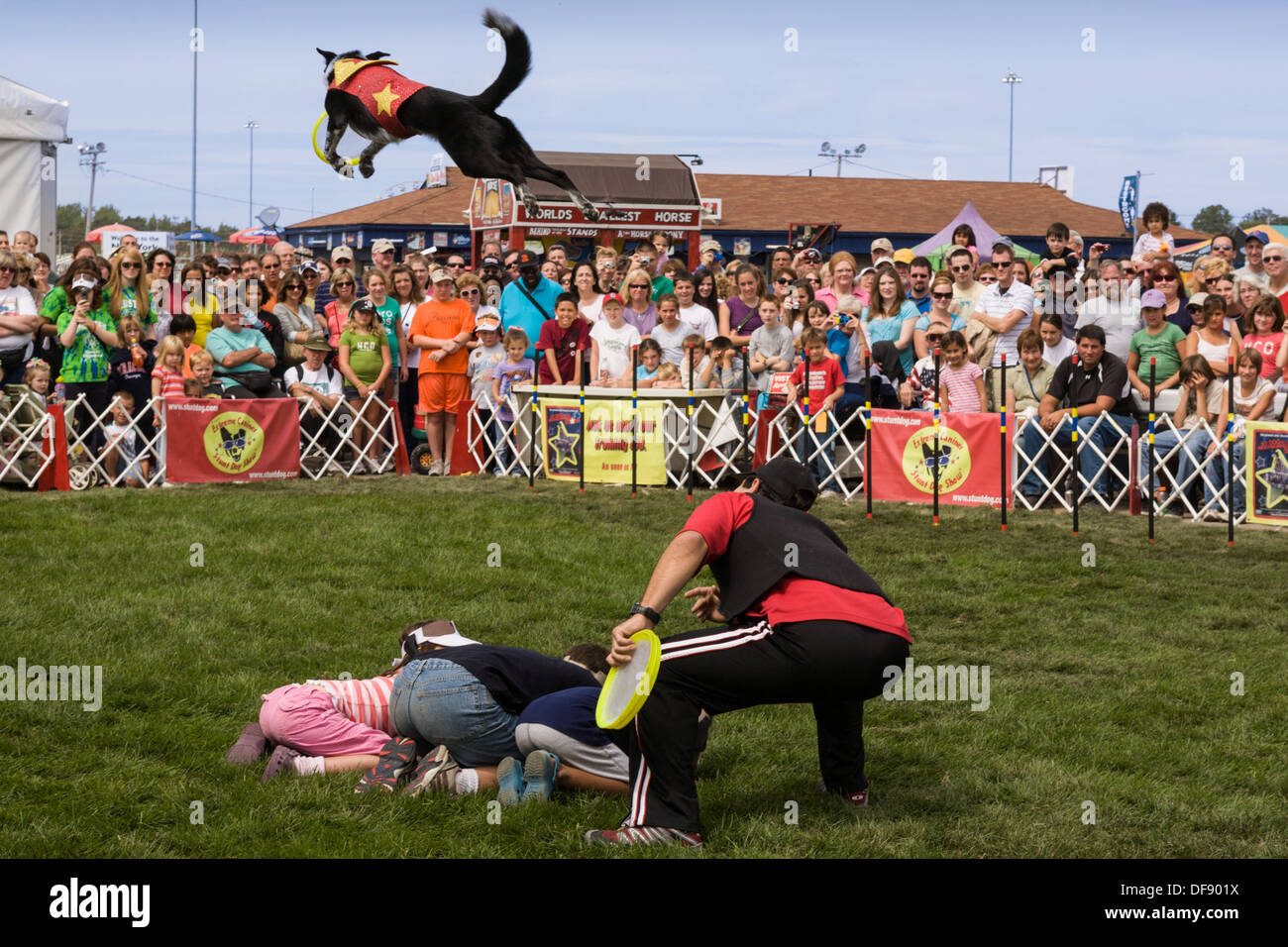 Stunt dog show, "estrema canini', pooch jumping, Grande New York State Fair Foto Stock