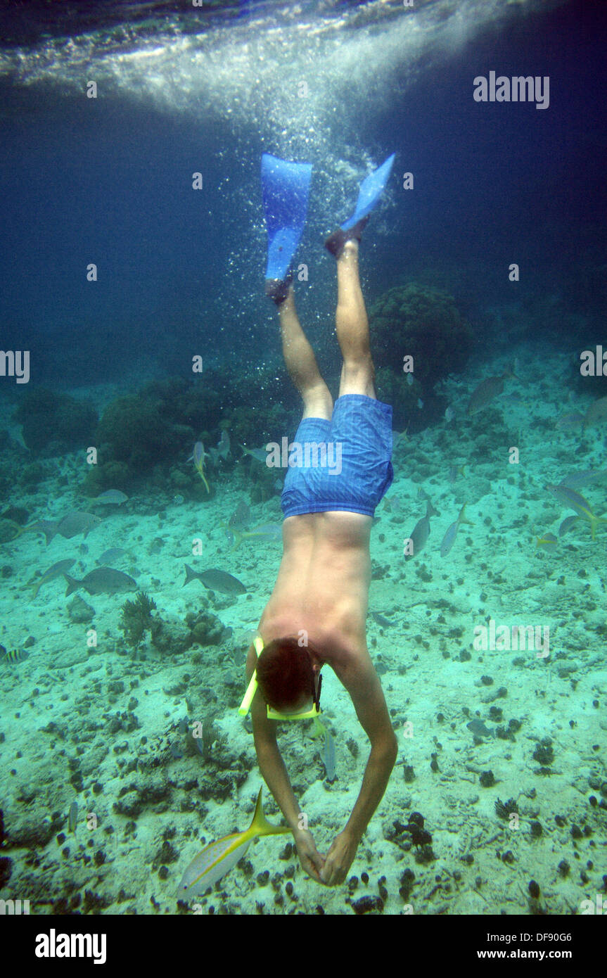 Lo snorkeling nella baia dei maiali, Cuba Foto Stock
