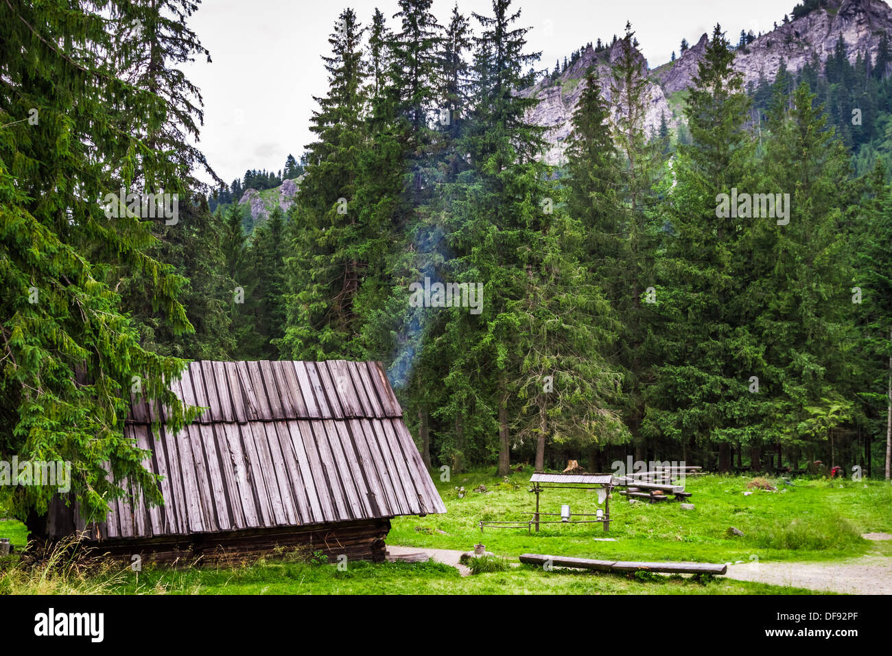 Affumicatoio di montagna nella foresta Foto Stock