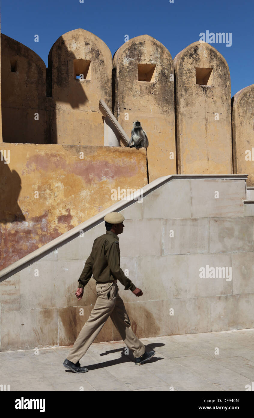 La scimmia e la guardia di sicurezza al Forte Amber nearJaipur,Rajasthan,l'India. Foto Stock