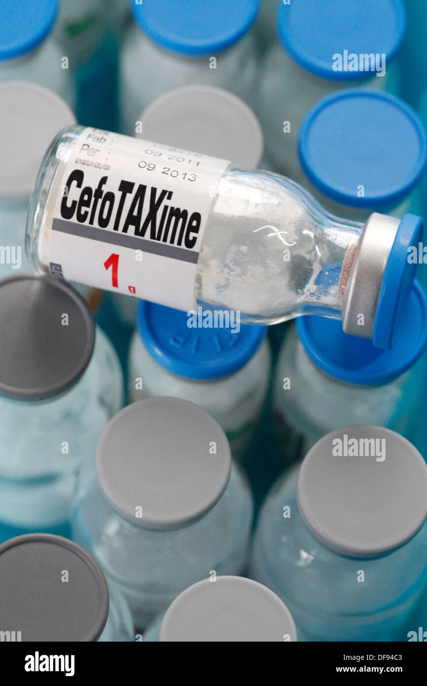 ANTIBIOTICO Foto Stock