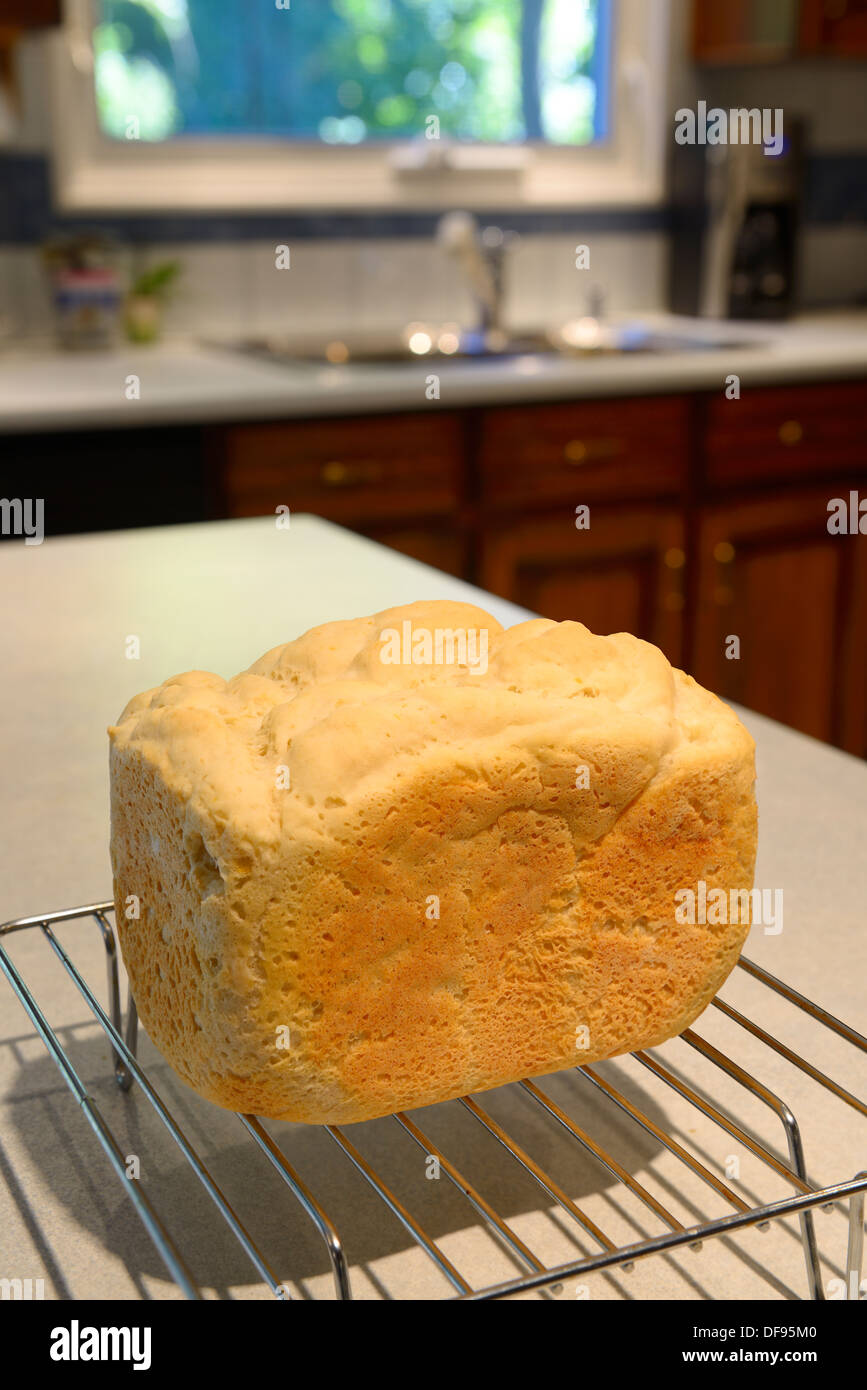 Appena cotto domestico senza glutine pane fro macchina per il pane raffreddamento su un rack in una cucina per il frumento intollerante allergy celiaci Foto Stock