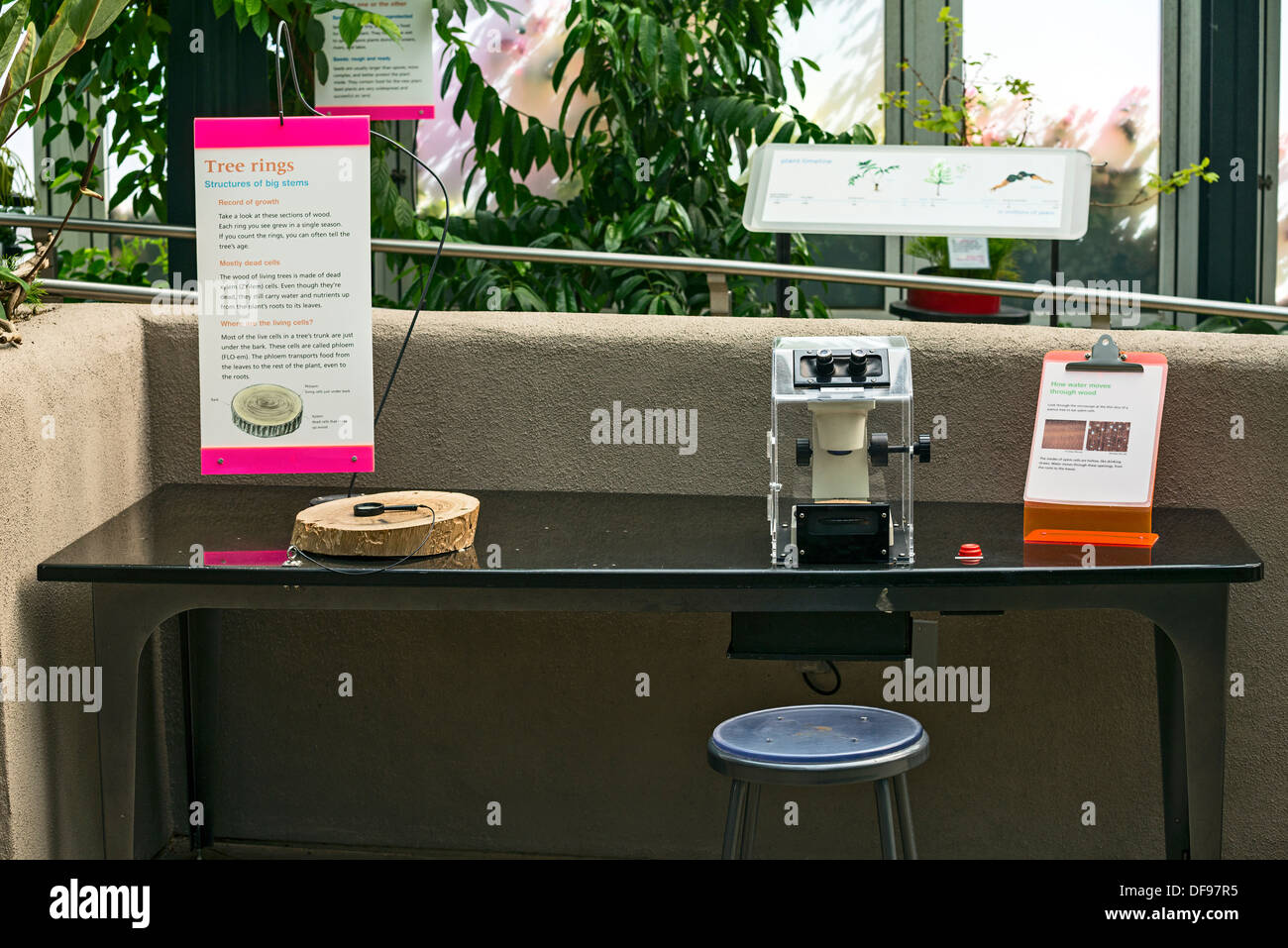 La pianta Lab presso il Conservatorio di La Biblioteca di Huntington e Giardini Botanici. Foto Stock