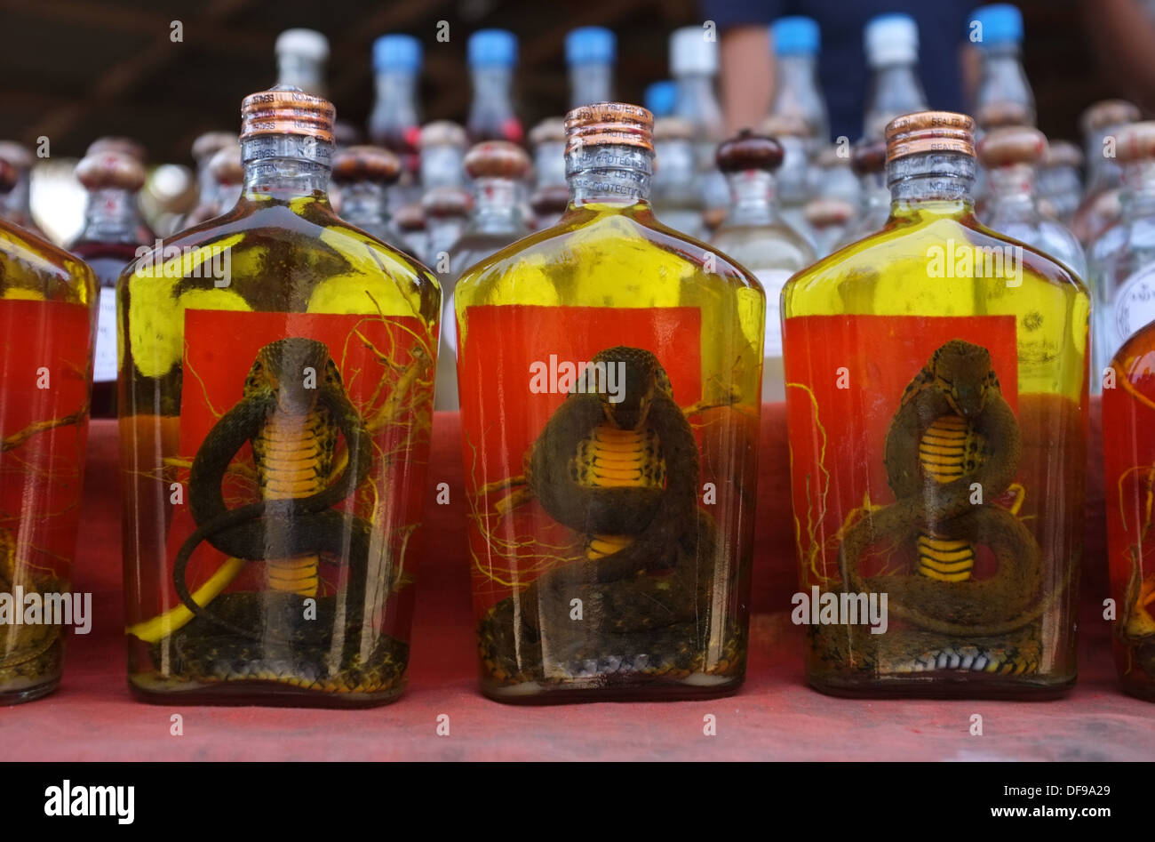 Snake whiskey immagini e fotografie stock ad alta risoluzione - Alamy