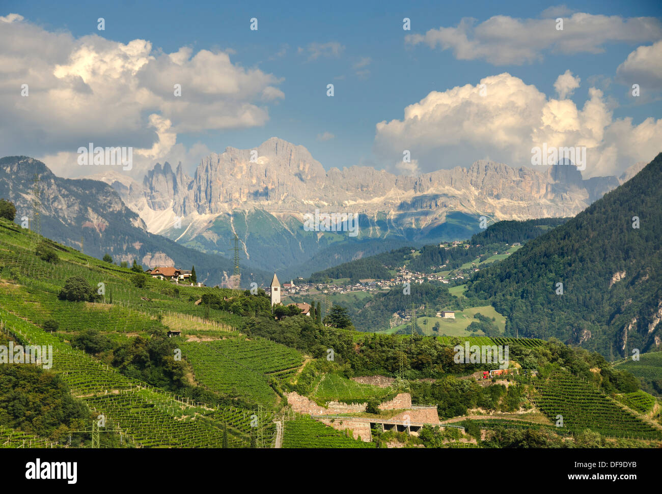 Vigneti nella parte anteriore delle Dolomiti, Bolzano, Alto Adige, Italia, Europa Foto Stock