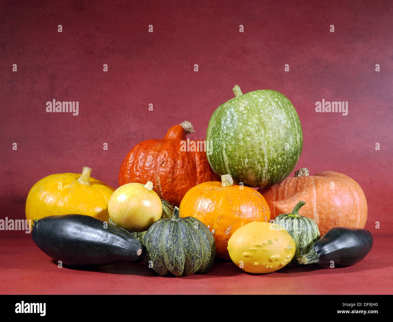 Composizione di zucche, zucchine e zucche di estate Foto Stock