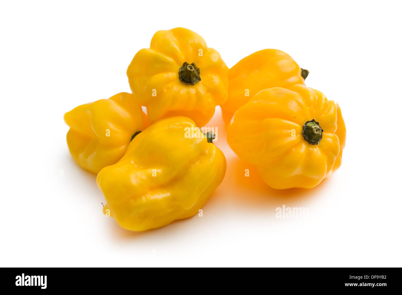 Habanero giallo su sfondo bianco Foto Stock