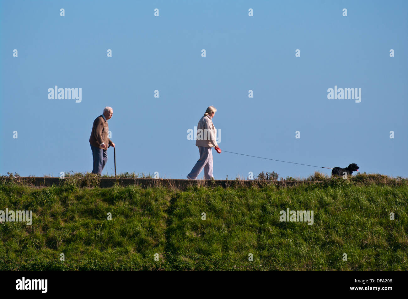 Coppia di anziani a piedi il loro cane al guinzaglio in una giornata di sole Foto Stock