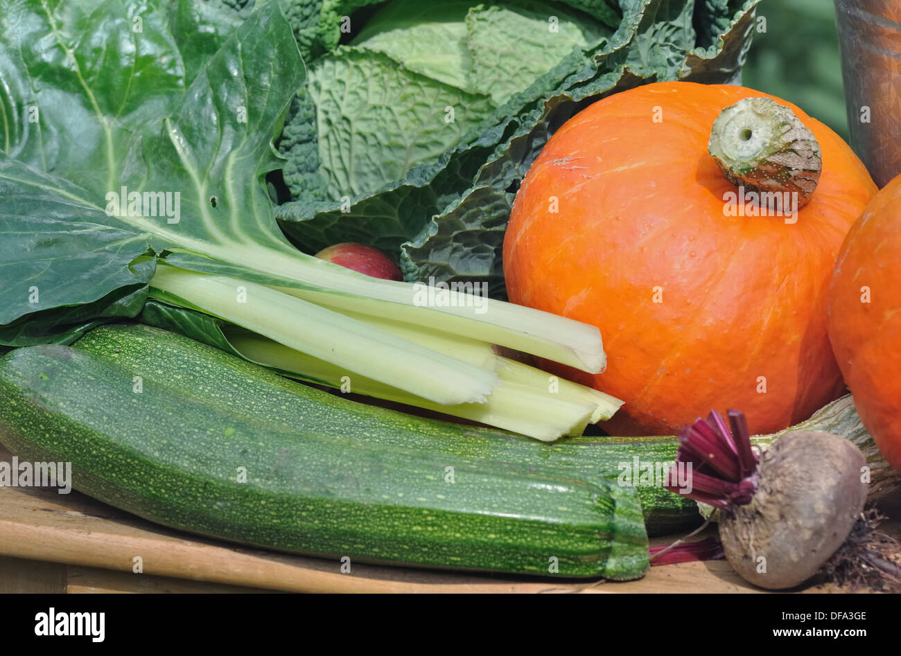 Verdure di stagione da giardino Foto Stock